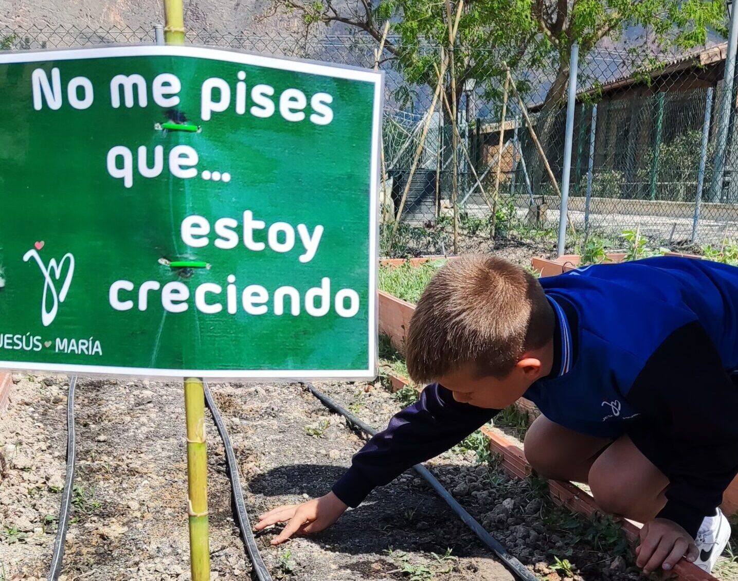 Huerto escolar Colegio Jesús María San Isidro