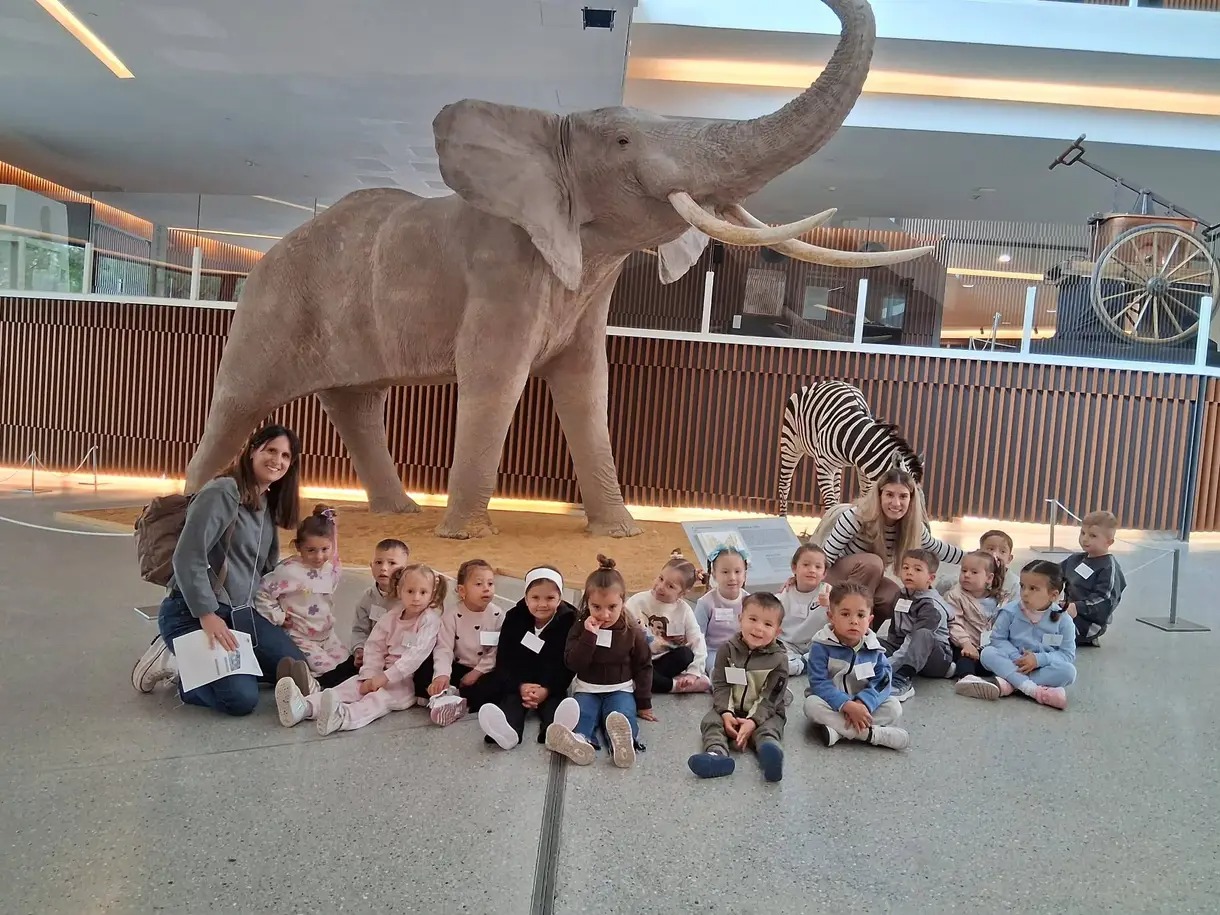 Extraescolares Educación Infantil Pinos Puente