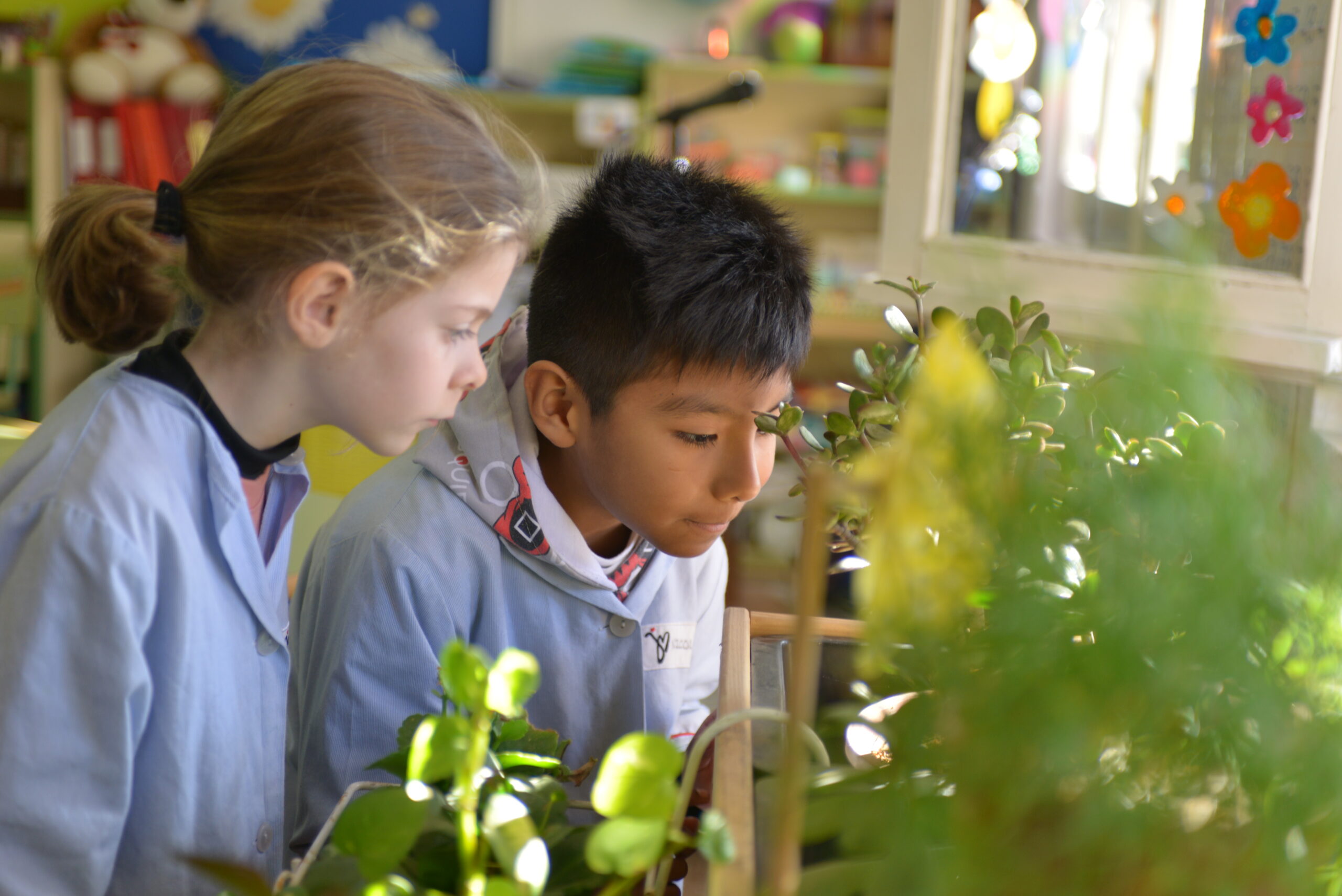 Los beneficios del aprendizaje por proyectos en Primaria
