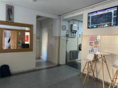 IMG_2559 (1)